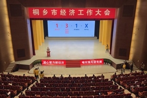 【菊鄉(xiāng)快評(píng)】經(jīng)濟(jì)工作大會(huì)上，桐鄉(xiāng)市委書(shū)記為何重點(diǎn)講巨石的電子布？